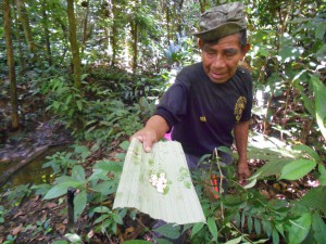 Einheimischer beim Maden sammeln