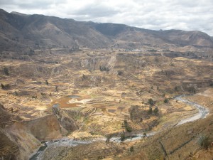 Terassen im Valle del Colca