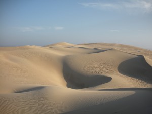 Desierto de California