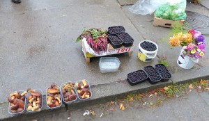 Udedom - Swinemünde