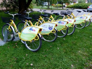 Usedom ist eine Fahrradinsel